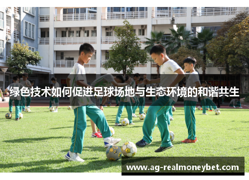 绿色技术如何促进足球场地与生态环境的和谐共生